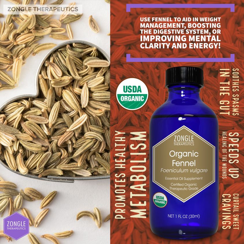Organic Fennel Essential Oil Benefits Zongle Therapeutics