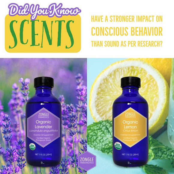 Scent VS Sound | Which Has The Strongest Impact On Behavior?