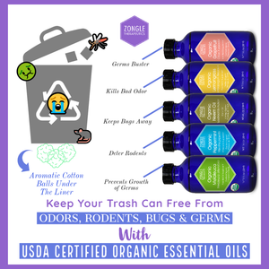 Keep Your Trash Can Free From Odors, Rodents, Bug & Germs