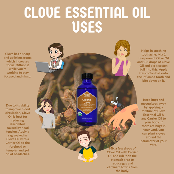 Clove Essential Oil Uses