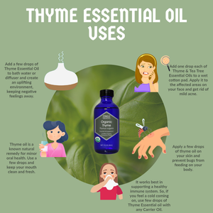 Thyme Essential Oil Uses