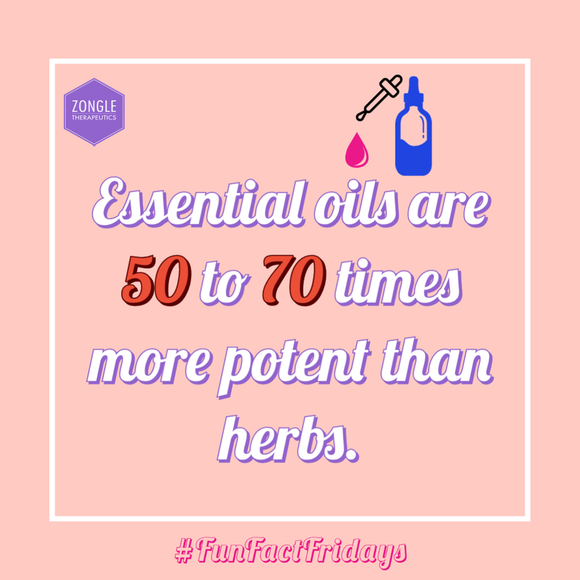 Are Essential Oils More Potent Than Herbs?
