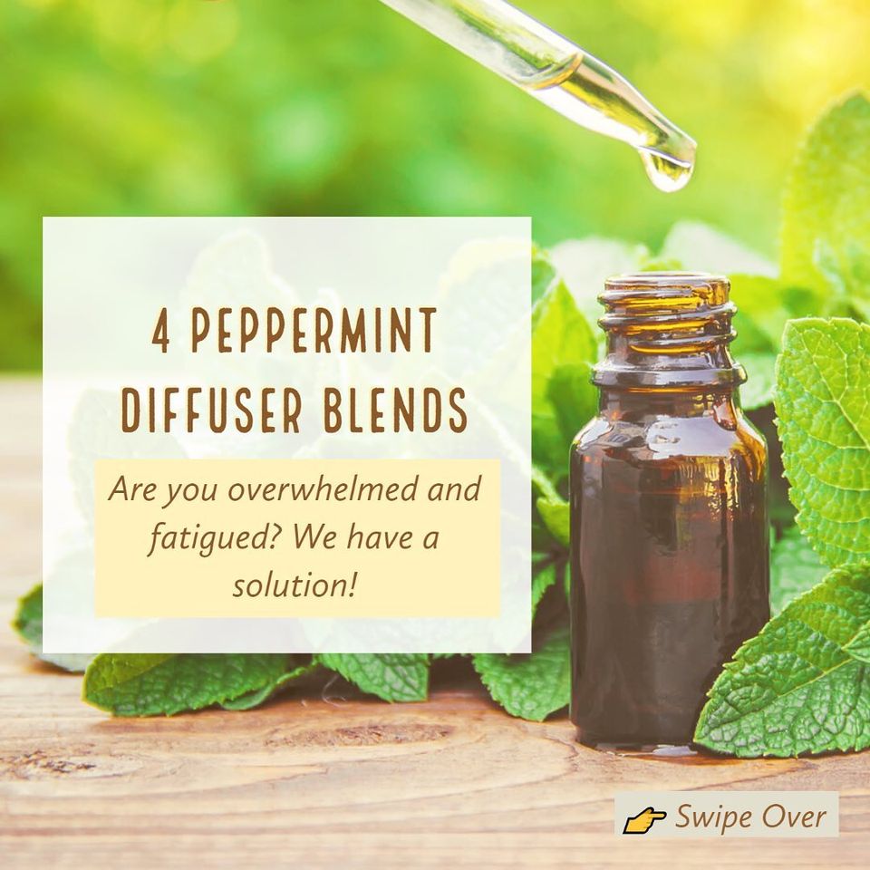 4 Peppermint Diffuser Blends – Zongle Therapeutics