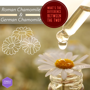 Roman Chamomile & German Chamomile | What's The Difference