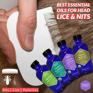 Best Essential Oils For Lice & Nits