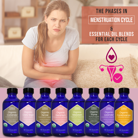 The Phases In Menstruation Cycle & Essential Oil Blends For Each Cycle