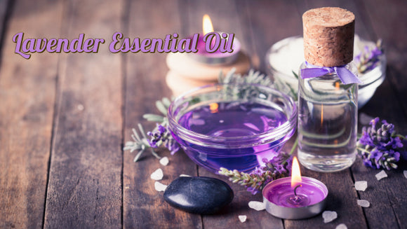 Zongle Therapeutics - Lavender Essential Oil