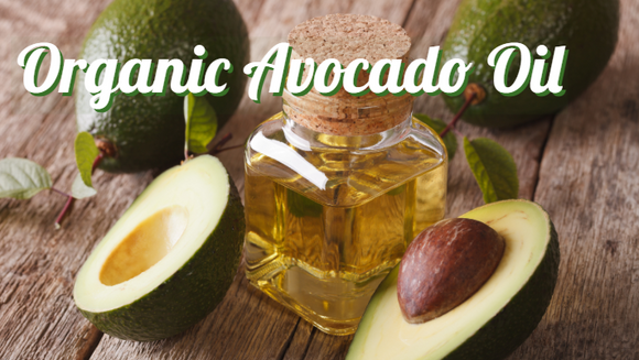 Zongle Therapeutics Organic Avocado Oil