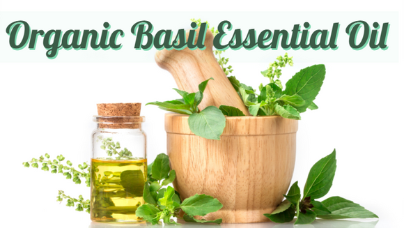 Zongle Therapeutics Organic Basil Essential Oil