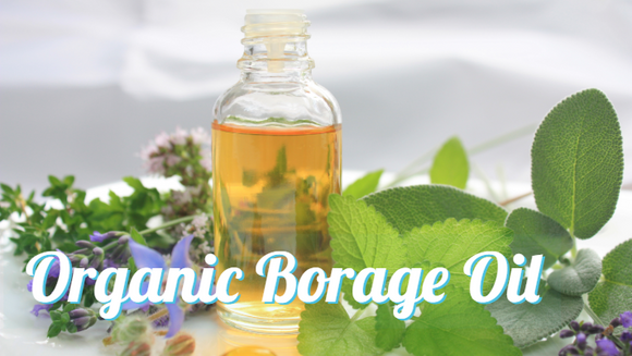 Zongle Therapeutics Organic Borage Oil