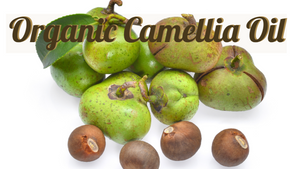 Organic Camellia Oil