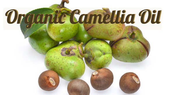 Zongle Therapeutics Organic Camellia Oil