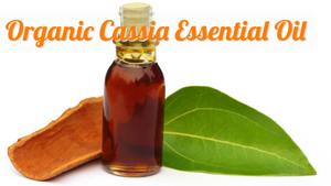 Organic Cassia Essential Oil