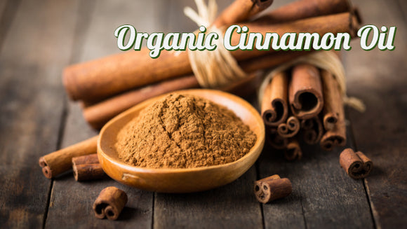 Zongle Therapeutics Organic Cinnamon Essential Oil