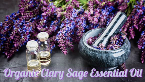 Zongle Therapeutics Organic Clary Sage Essential Oil