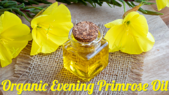 Zongle Therapeutics Organic Evening Primrose Oil
