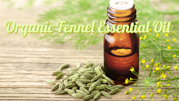 Zongle Therapeutics Organic Fennel Essential Oil