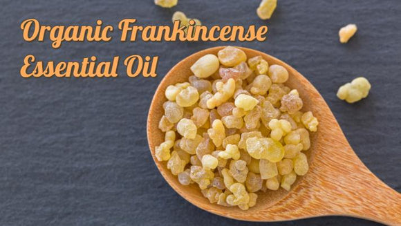 Zongle Therapeutics Organic Frankincense Essential Oil