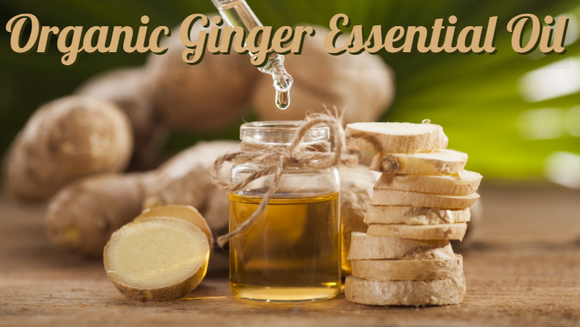 Zongle Therapeutics Organic Ginger Essential Oil 