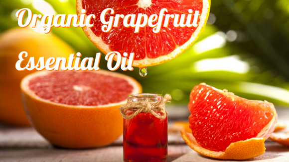 Zongle Therapeutics Organic Grapefruit Essential Oil 