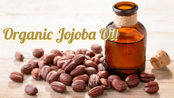 Zongle Therapeutics Organic Jojoba Oil