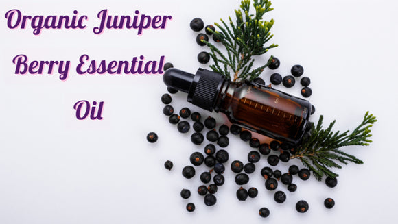 Zongle Therapeutics Organic Juniper Berry Essential Oil