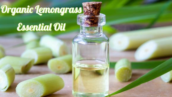 Zongle Therapeutics - Organic Lemongrass Essential Oil