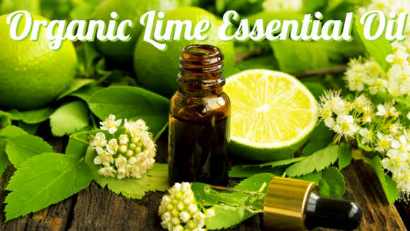 Organic Lime Essential Oil