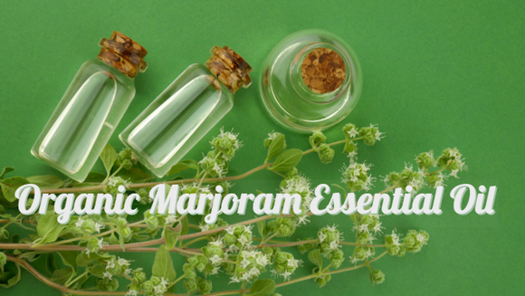 Zongle Therapeutics Organic Marjoram Essential Oil