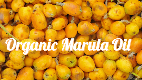 Organic Marula Oil