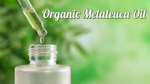 Organic Melaleuca (Tea Tree) Oil