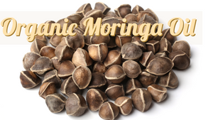 Organic Moringa Oil