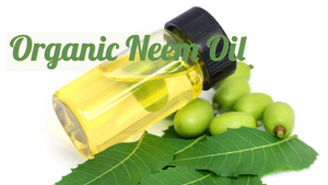 Organic Neem Oil