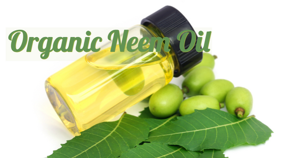 Zongle Therapeutics Organic Neem Oil