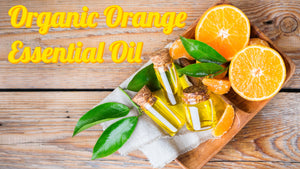 Organic Wild Orange Essential Oil