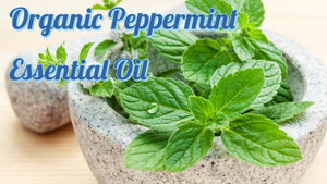 Organic Peppermint Essential Oil