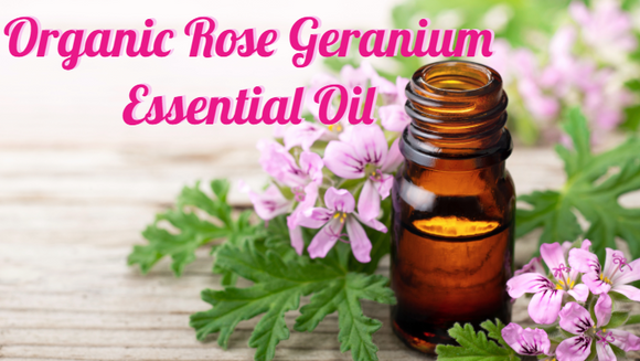 Zongle Therapeutics Organic Rose Geranium Essential Oil