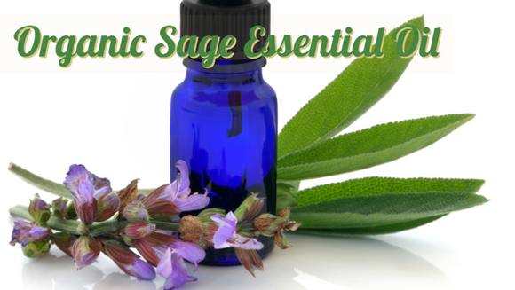 Zongle Therapeutics Organic Sage Essential Oil