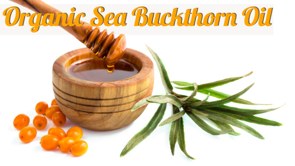 Zongle Therapeutics Organic Sea Buckthorn Oil