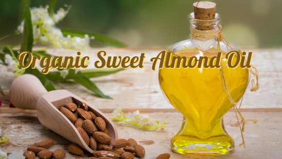 Zongle Therapeutics Organic Sweet Almond Oil
