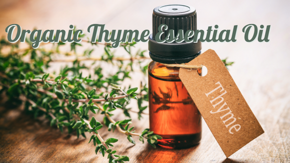 Zongle Therapeutics Organic Thyme Essential Oil