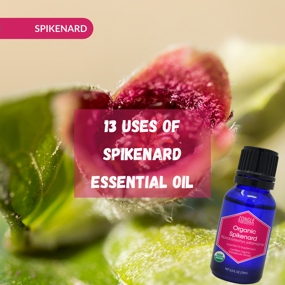 13 Uses Of Spikenard Essential Oil