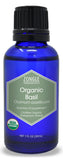 Zongle USDA Certified Organic Basil Essential Oil, Safe To Ingest, Ocimum Basilicum, 1 oz